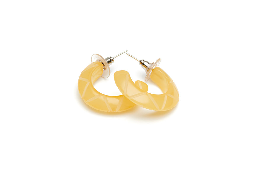 Sherbet Fakelite Hoop Earrings