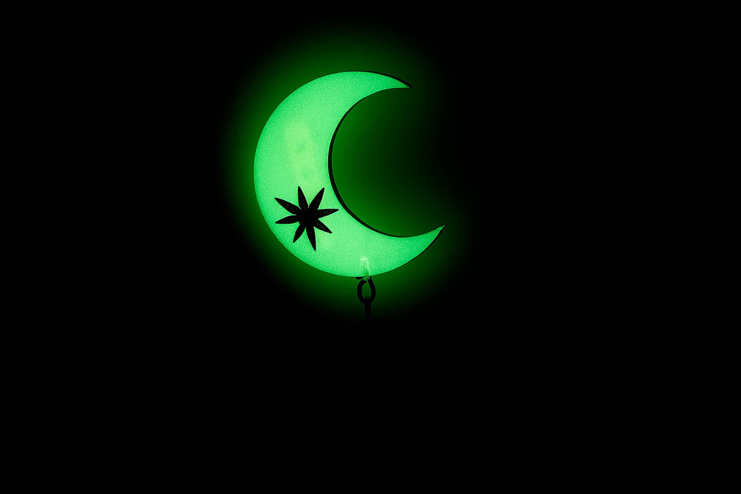 Serpent Moon Brooch